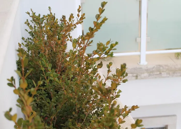 Gio.ele * Melendugno