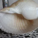 Gio.ele アパート