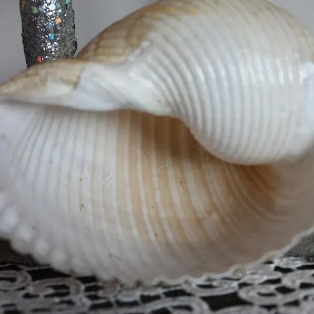 Gio.ele Apartmán