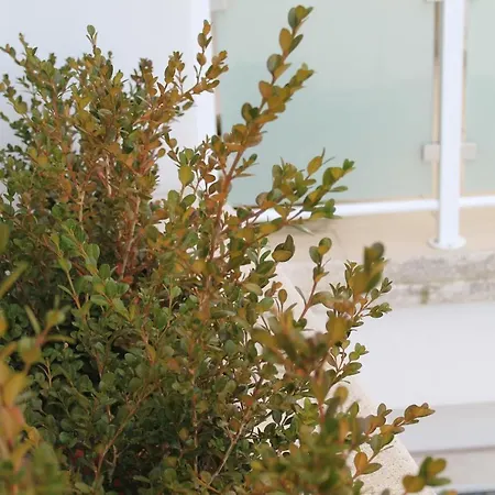 Gio.ele * Melendugno